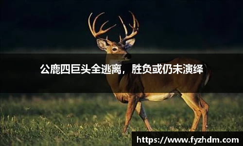 易游体育