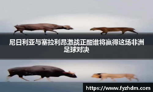 yy易游体育